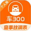 车300二手车 图标