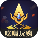 王者人生 图标