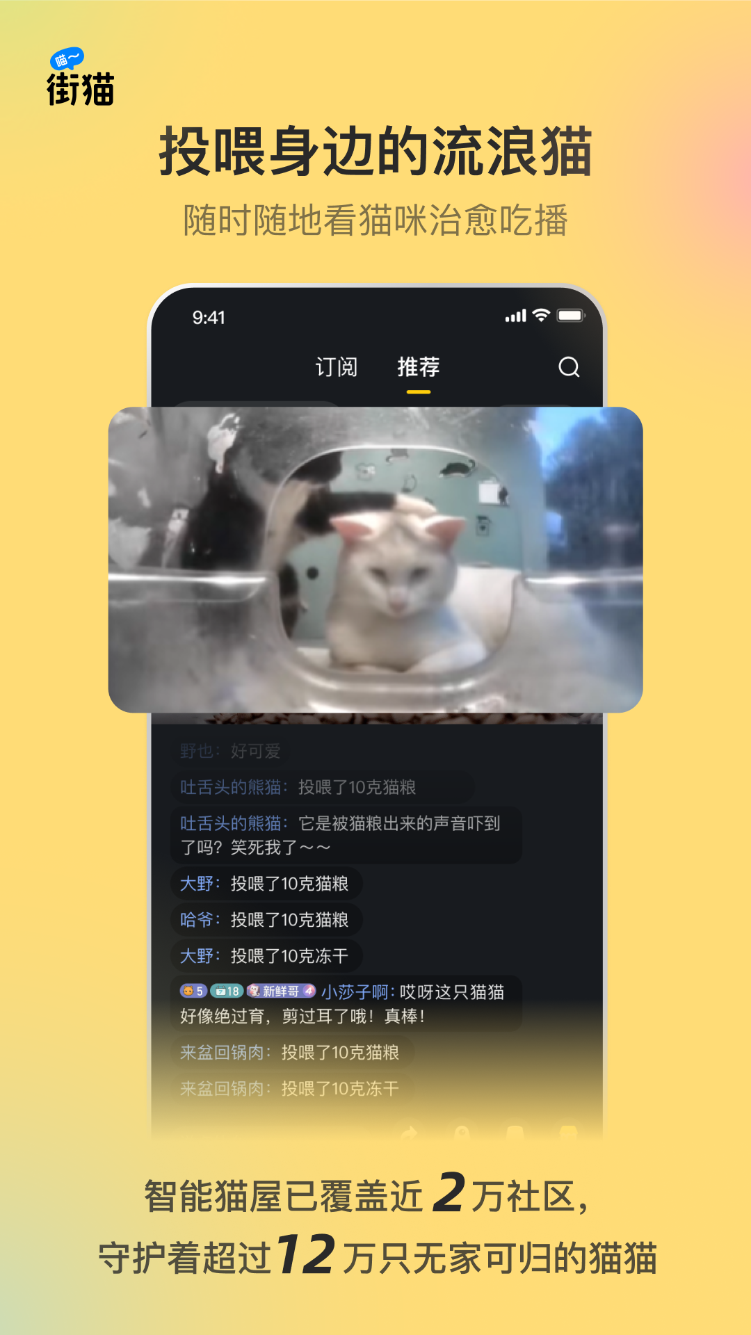 街猫 截图 1