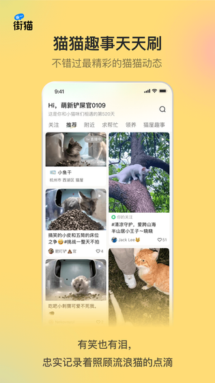 街猫 截图 5